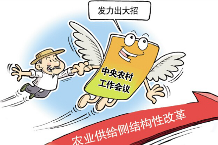 玉米种子批发