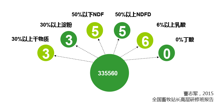 青贮玉米的335560