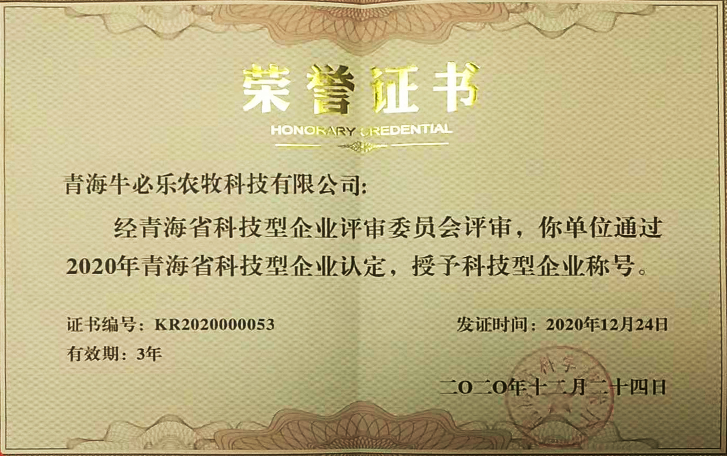 青海省科技型企业证书